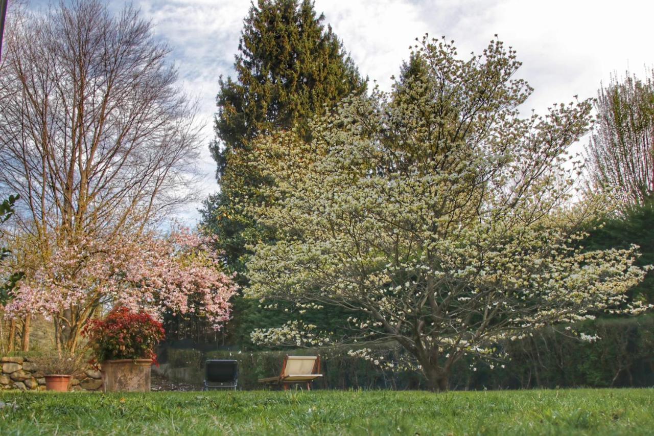 B&B Le Magnolie Carimate Esterno foto